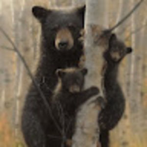 Meet your Posher, Sheri